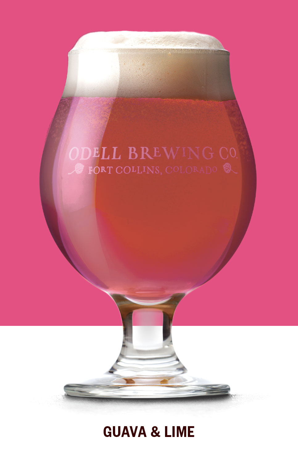 Sippin’ Pretty Guava Lime Ale